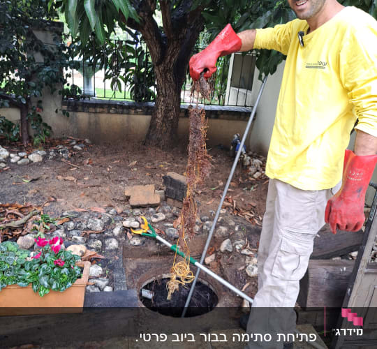 אדם עם כפפות אדומות מחזיק שורשים ליד פתח ביוב